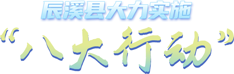 辰溪縣大力實施“八大行動”